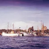 Fiskebryggan, Hamnen