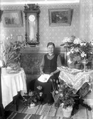 Mina Strids 60-årsdag