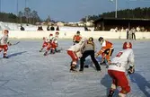 Ishockeymatch på Viksängens IP