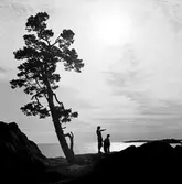 Kärlekstallen, Strandvägen