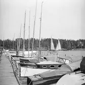 NSS brygga, Trehörningsviken