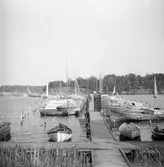 NSS brygga, Trehörningsviken