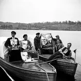 Valaffischer i skärgården