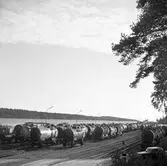 Bangård vid hamnen
