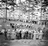 Svenska flaggans dag