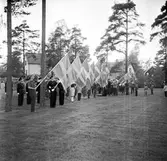 Svenska flaggans dag