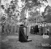 Svenska flaggans dag