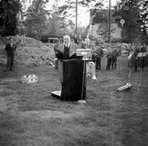 Svenska flaggans dag