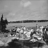 Matrast på Mamsellholmen