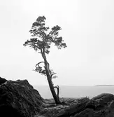 Kärlekstallen, Strandvägen