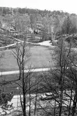 Svandammsparken