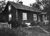 Levansvik