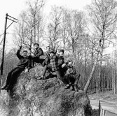 Pojkar på Torö sten