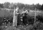 Blommenstorp