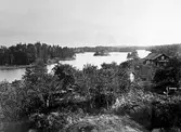 Ekdal vid Nynäsviken