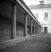 Viaskolan
