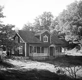 Ekdal