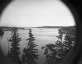 Utsikt över hamnen från Oskarsberget