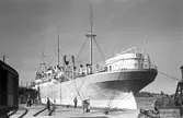 M/S Balboa i hamnen