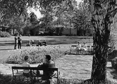 Teleparken