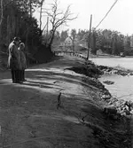 Vägras vid Hamnviken