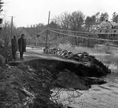 Vägras vid Hamnviken