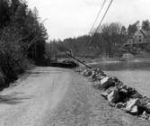 Vägras vid Hamnviken