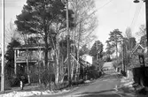Rosenvägen