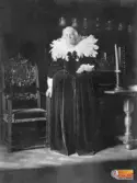 Wilhelmina von Hallwyl i 1600-tals dräkt, sydd till palatsets invigning den 24 februari 1899.