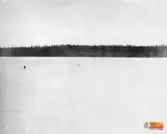 Skog på sörsid-landet, Ljusne