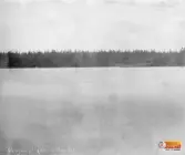 Skogen på sörsid-landet, Ljusne