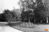Parken vid de Kempeska villorna.
Fru Johanna Kempe född Wallis anlade tillsammans med trädgårdsmästaren med stor möda trädgården och parken i Ljusne.