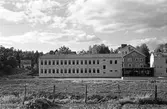 Svandammsskolan