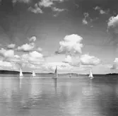 Segling, Nynäs-Spelen