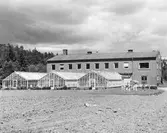 Exteriör IVK