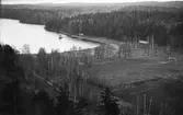 Nickstaviken