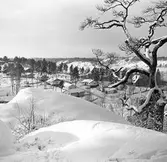 Utsikt från Vattentornsberget