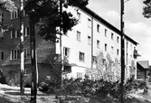 Skogsgården