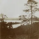 Gröndalsviken