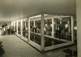 Jubileumsutställningen i Göteborg 1923
Fiskdammen vid Fiskrestauranten
Fiskeriutställningen
Historiska utställningen
Minnesfältet
