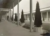 Jubileumsutställningen i Göteborg 1923
Interiör av Långa gårdens loggia (pelargång eller pelarhall som är öppen utåt på en eller flera sidor).
Historiska utställningen
Minnesfältet