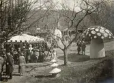 Jubileumsutställningen i Göteborg 1923
Barnens Paradis låg i Landeriparken vid sidan av Johannebergs landeri
Den stora svampen kallades Stoppsvampen, där barnen kunde få sina kläder lagade