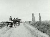 Hagbards galge och Signes galge vid Asige hed. På vägen står ett hästekipage med två män som betraktar stenarna. 1880-tal.