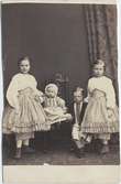Kabinettkort. Porträtt av de fyra barnen Falkenius 1863. Två flickor klädda i volangkjol och blus står på var sida om en liten flicka sittande i en stol och en något större pojke som sitter bredvid henne.