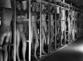 Skyltdockor från dekorationslagret på varuhuset Nordiska Kompaniet i Stockholm. Dockorna står placerade i en lång rad i ett hyllsystem. 29 juni 1938