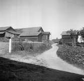 Pergården (tidigare Sjonsgård) i Osmundsbergs by i Boda socken, Dalarna. Byggnader på var sida om en grusväg.