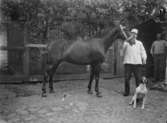 Anders Francke med en häst