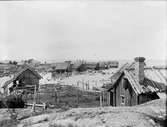 Sjöbodar med båtlänningar samt kokhus vid Rännan, Fågelsundets fiskehamn, Hållnäs socken, Uppland 1910