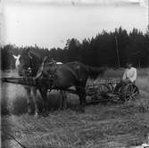 Skörd med hästdragen jordbruksmaskin, sannolikt Josef Ärnströms bror Albert Ärnström, Sonbo, Films socken, Uppland