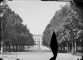 Kemikum, senare kallad Philologicum, i Carolinaparken, stadsdelen Kåbo, Uppsala 1860-tal
